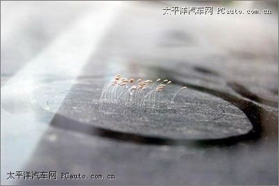 LϳF滨