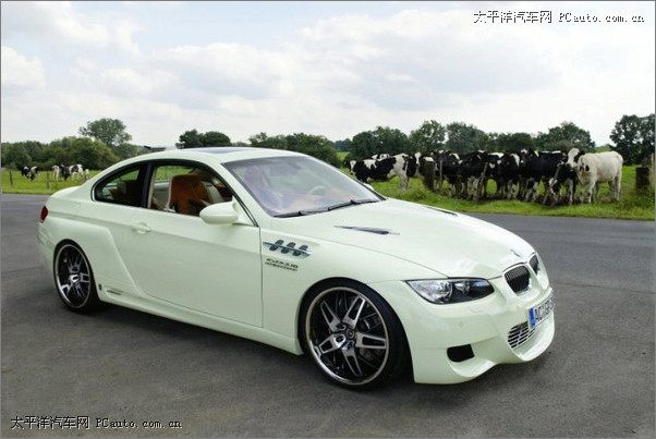 AC Schnitzer3ϵ܇