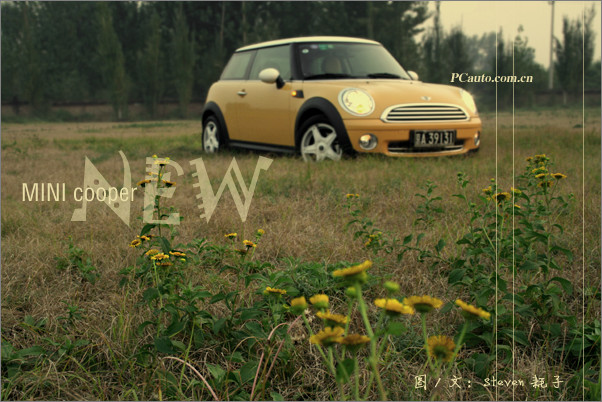 MINI cooper