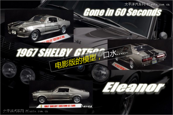 SHEBLY GT500