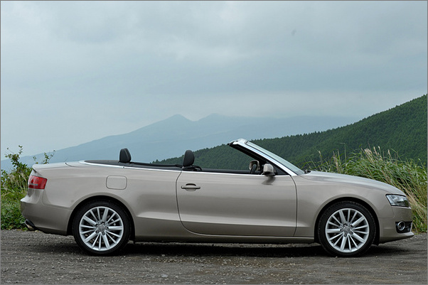 2010WA5Cabriolet