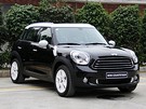 2011Countryman