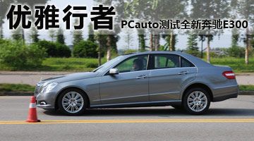 (yu) PCautoyYE300